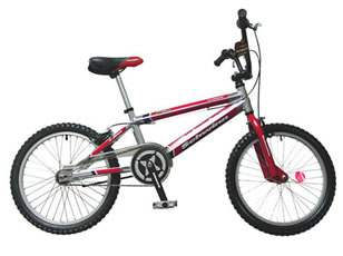 Schwinn z deals force